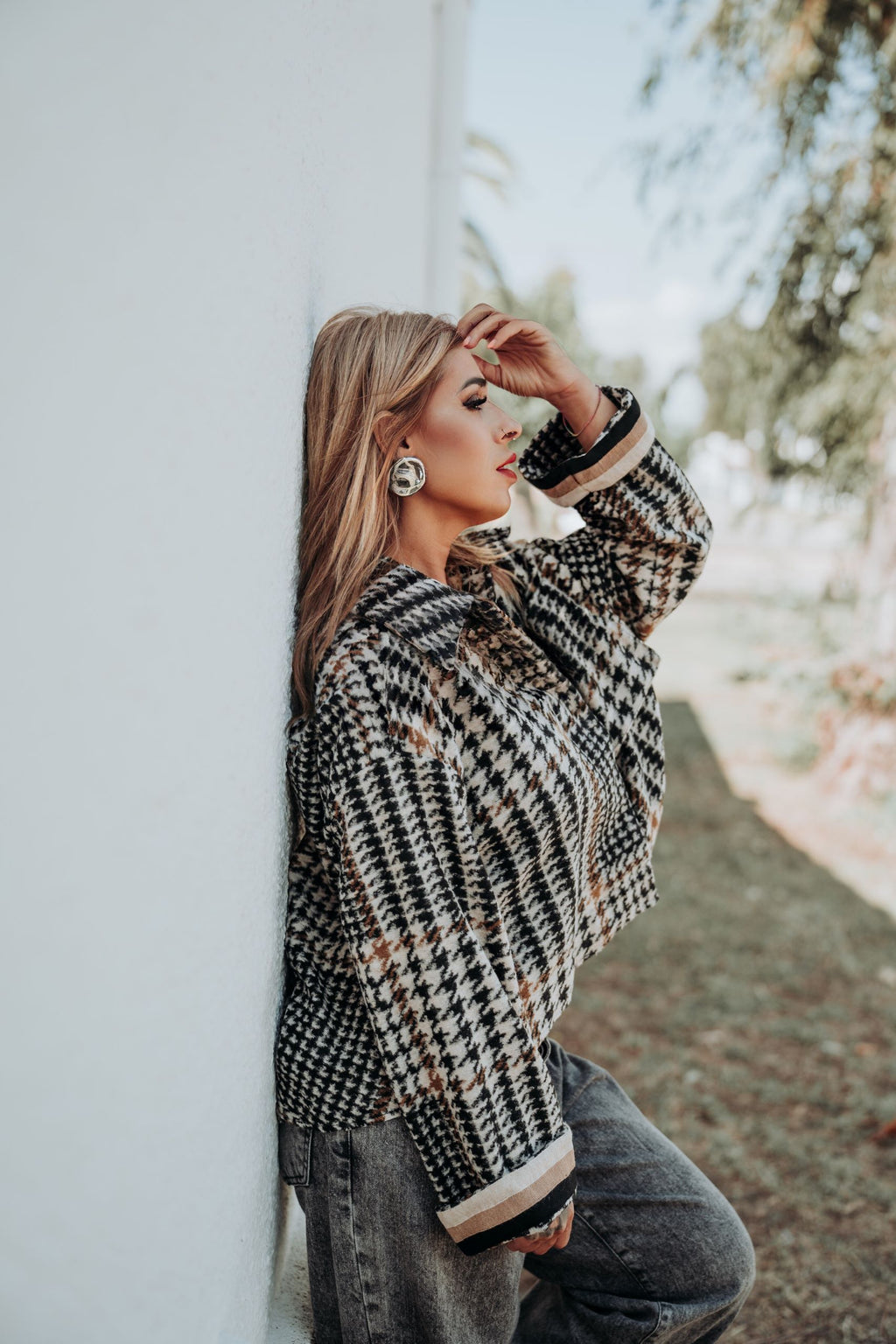 Cataleya-capa-cuadros-dixie