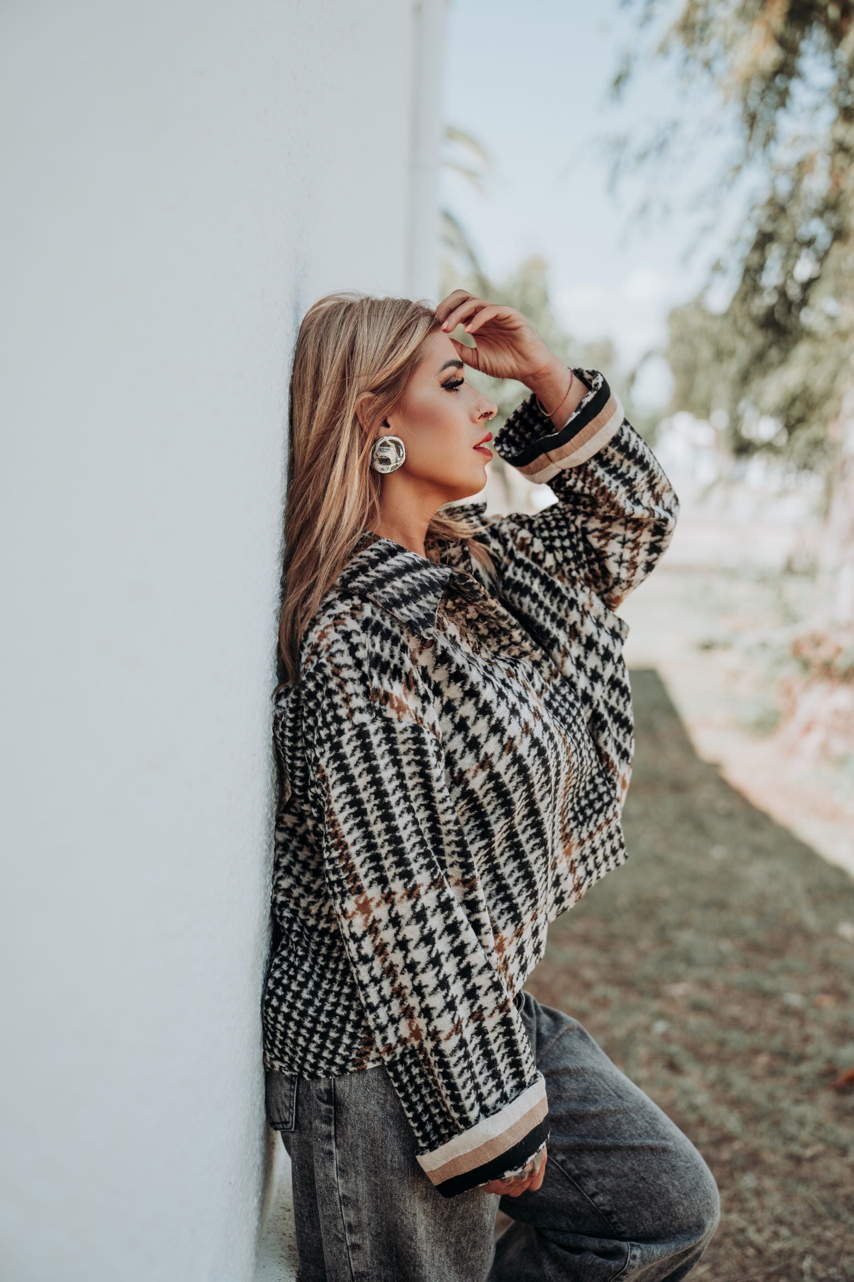 Cataleya-capa-cuadros-dixie