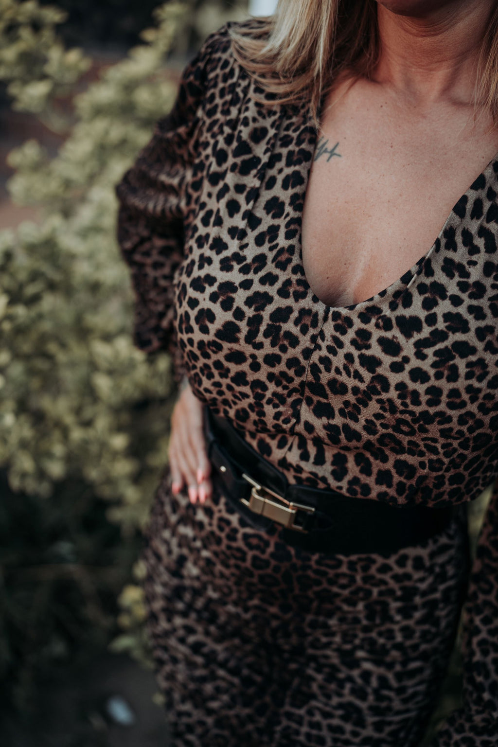 Cataleya-detalle-leopardo